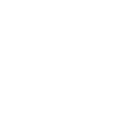 Bridge Project